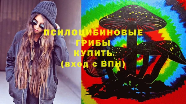 молекула духа Беломорск